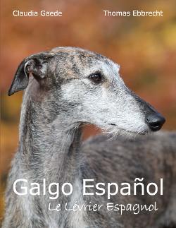 Galgo Español - Le Lévrier Espagnol - Franais